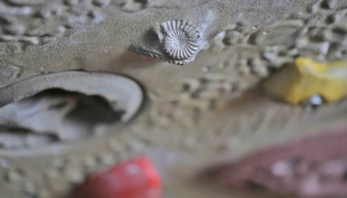 © DAV Sektion Hohenstaufen Göppingen / Kletterstube