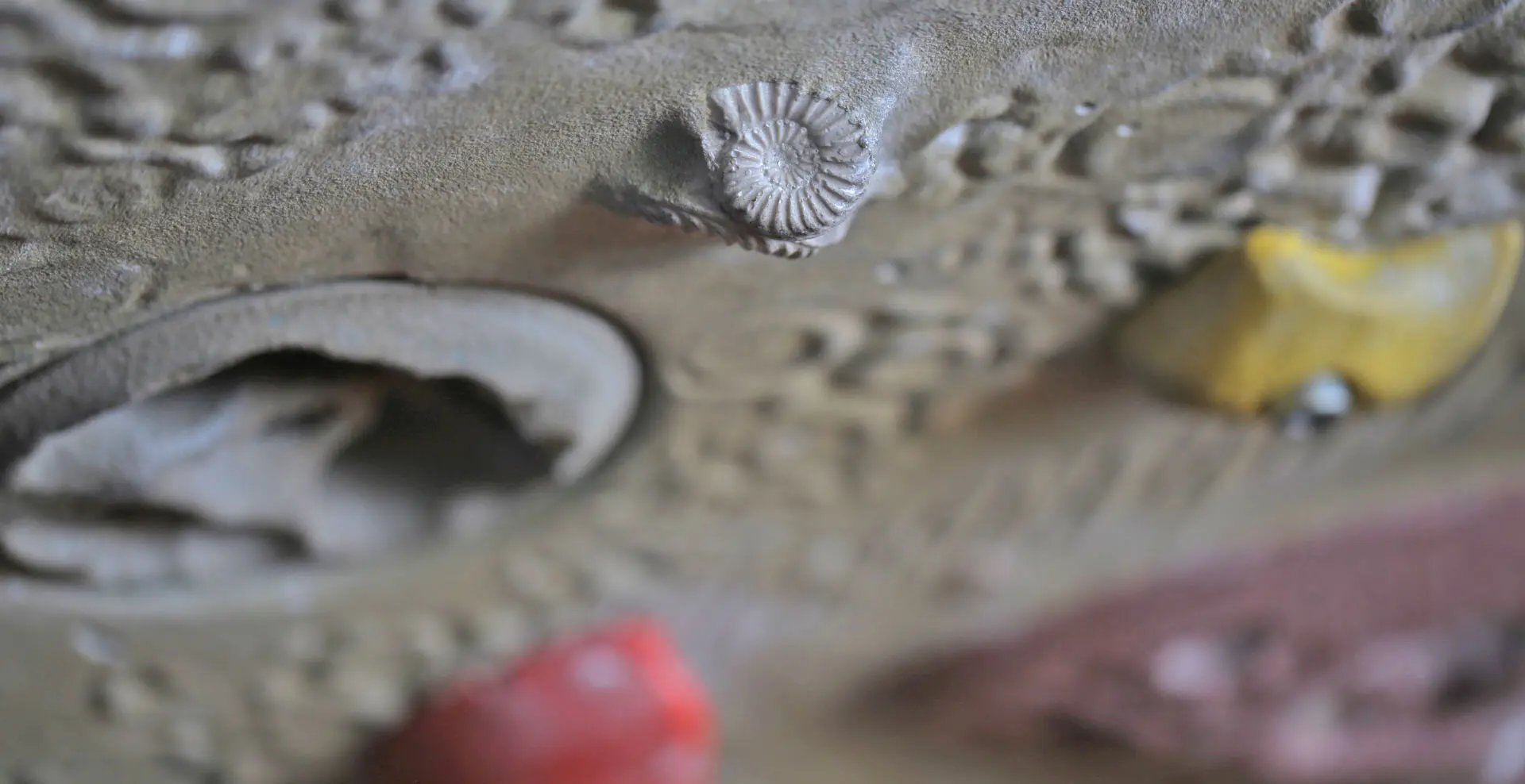 © DAV Sektion Hohenstaufen Göppingen / Kletterstube