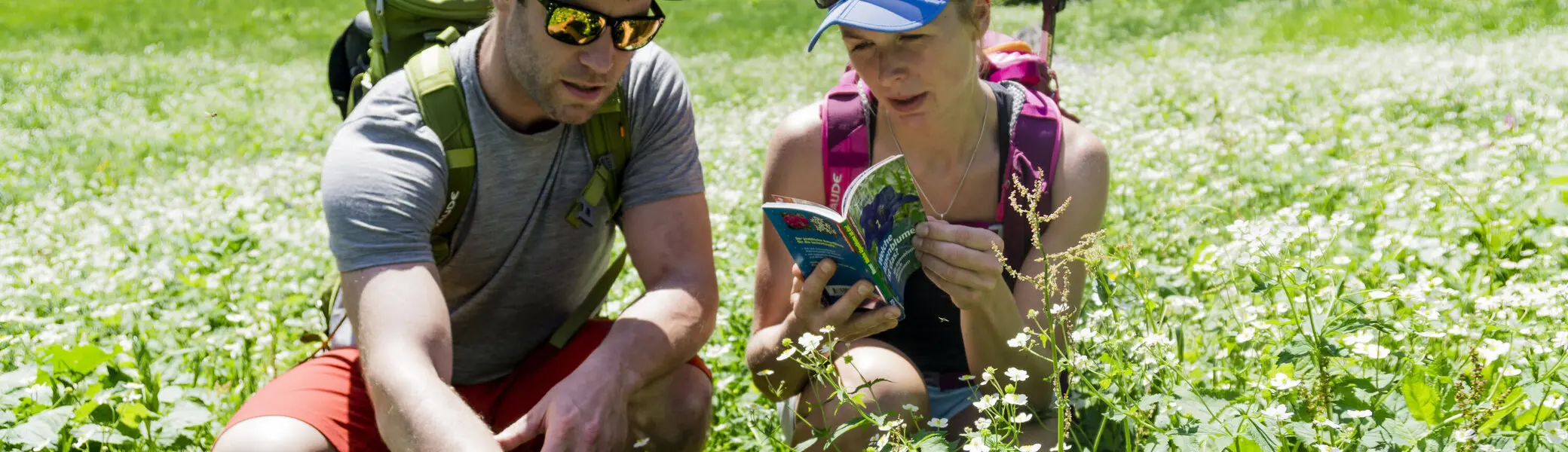 Zwei Wanderer in einer Frühlingswiese | © DAV/Hans Herbig